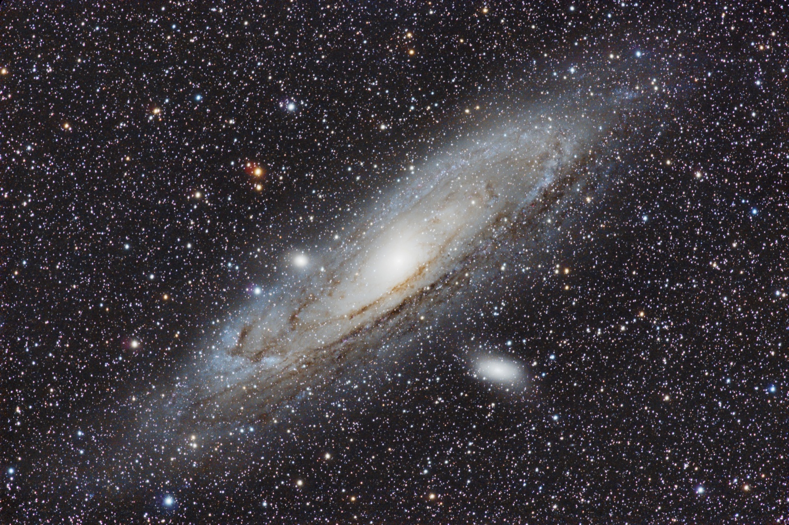 M31
