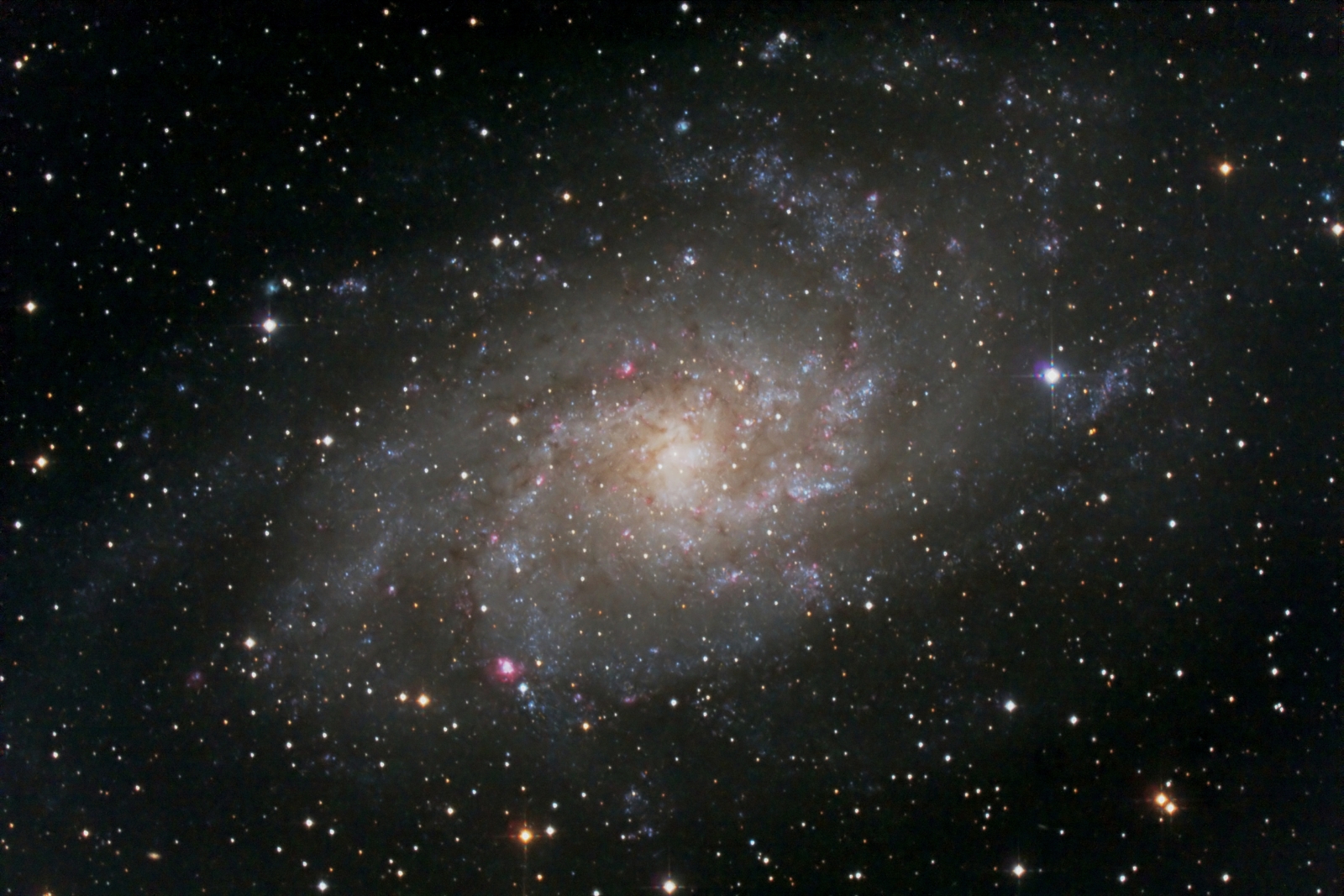 M33