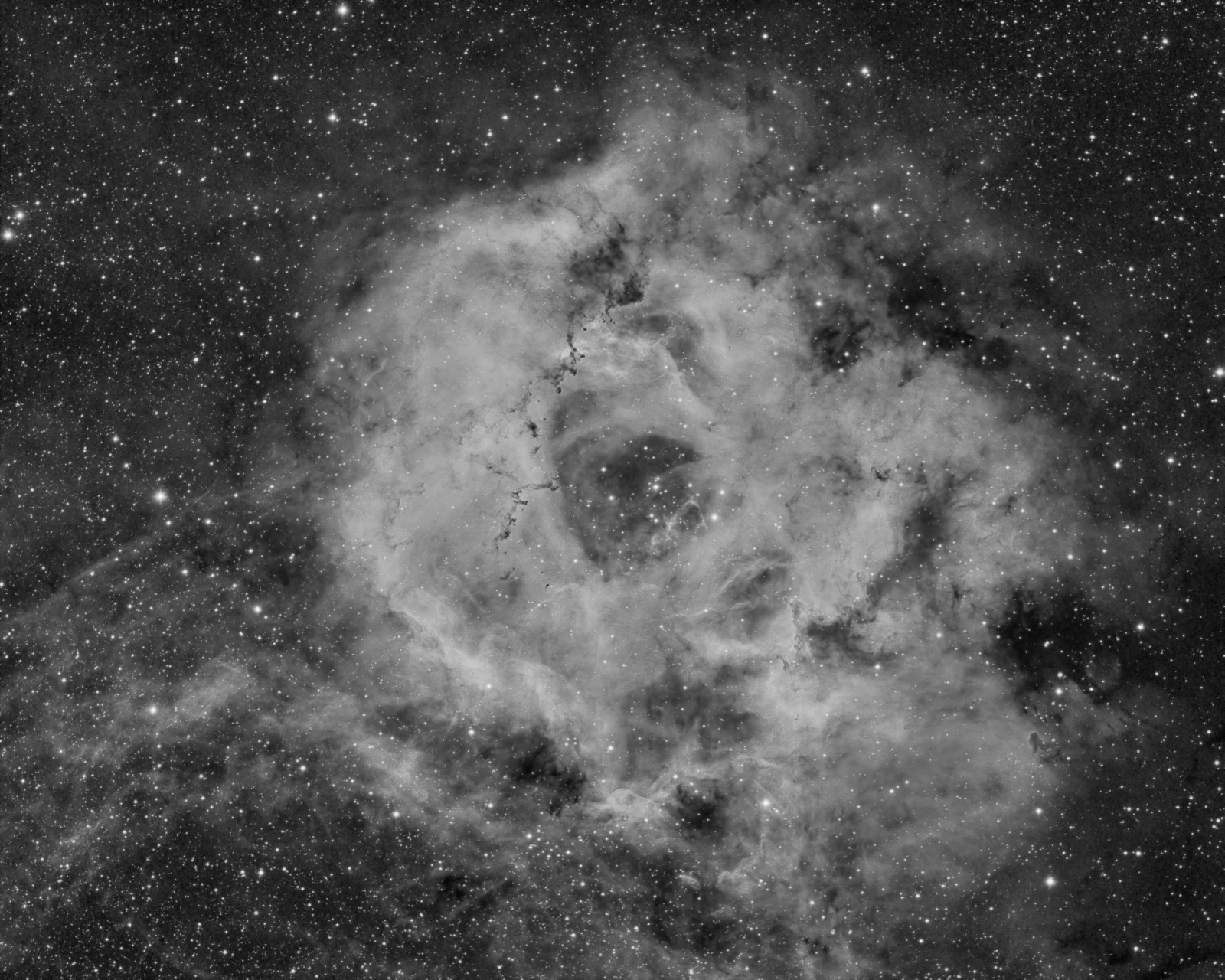 NGC2244 NGC2237 Rosette Ha