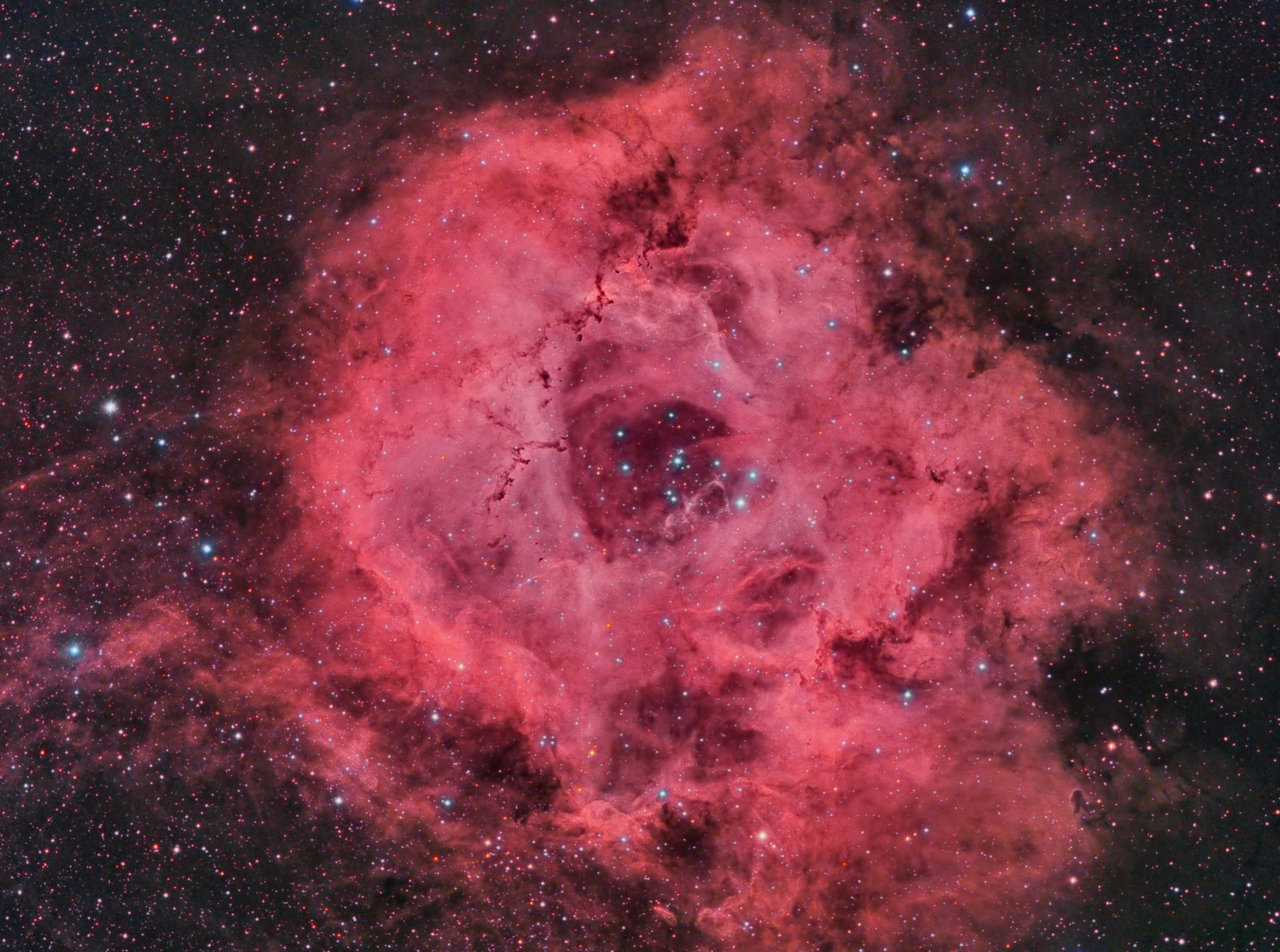 NGC2244 NGC2237 Rosette Ha RGB