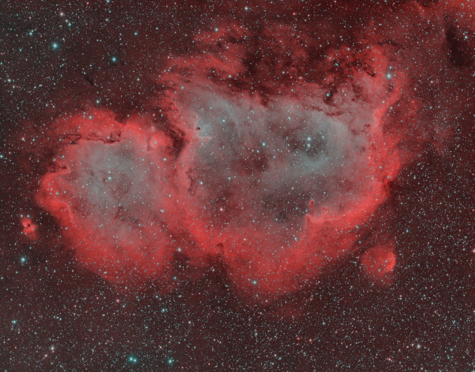 IC1848