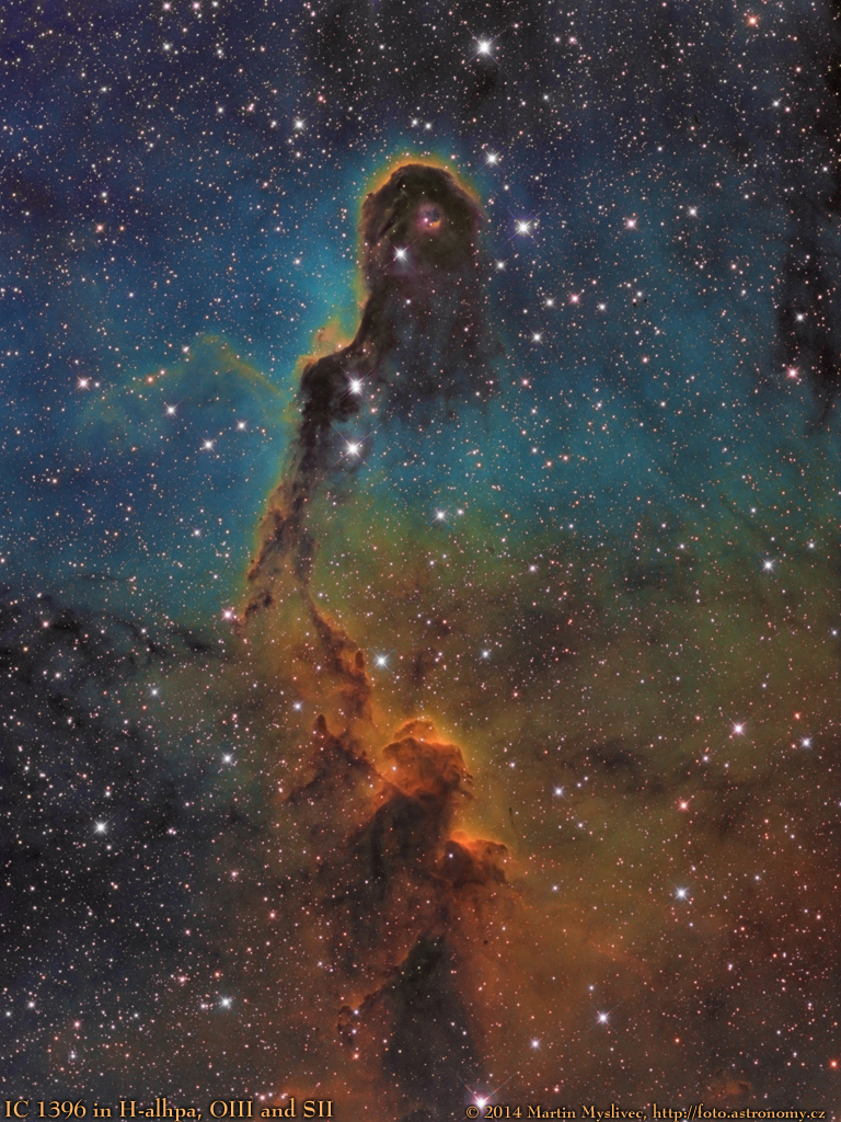 IC1396