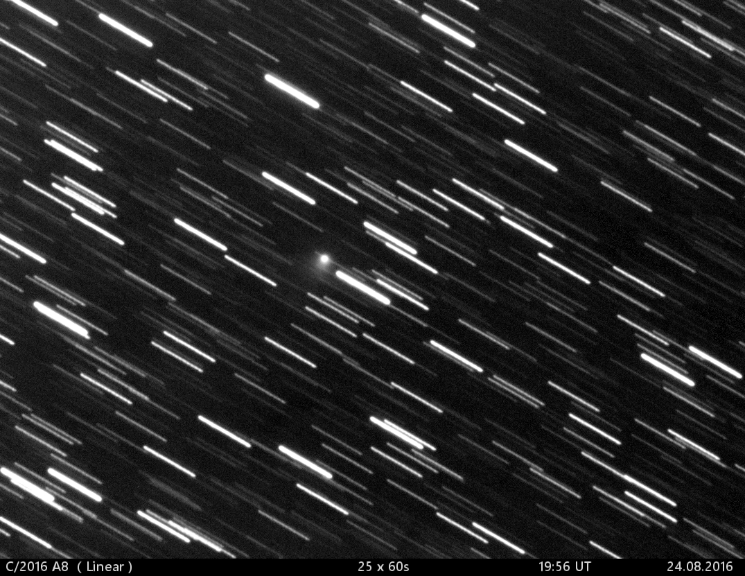 kometa  C/2016 A8  (Linear)