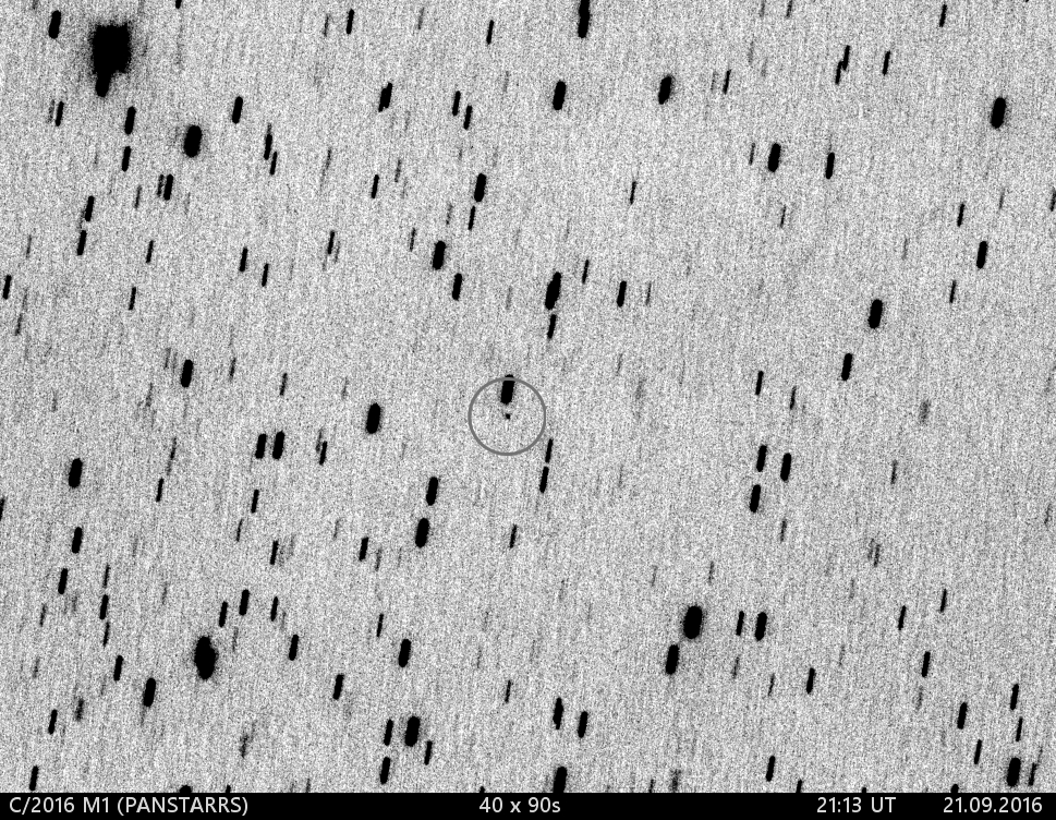 kometa C/2016 M1 (PANSTARRS)