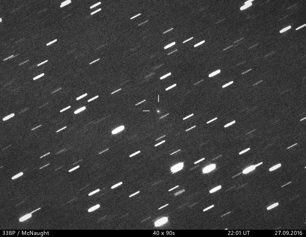 kometa 338P/McNaught