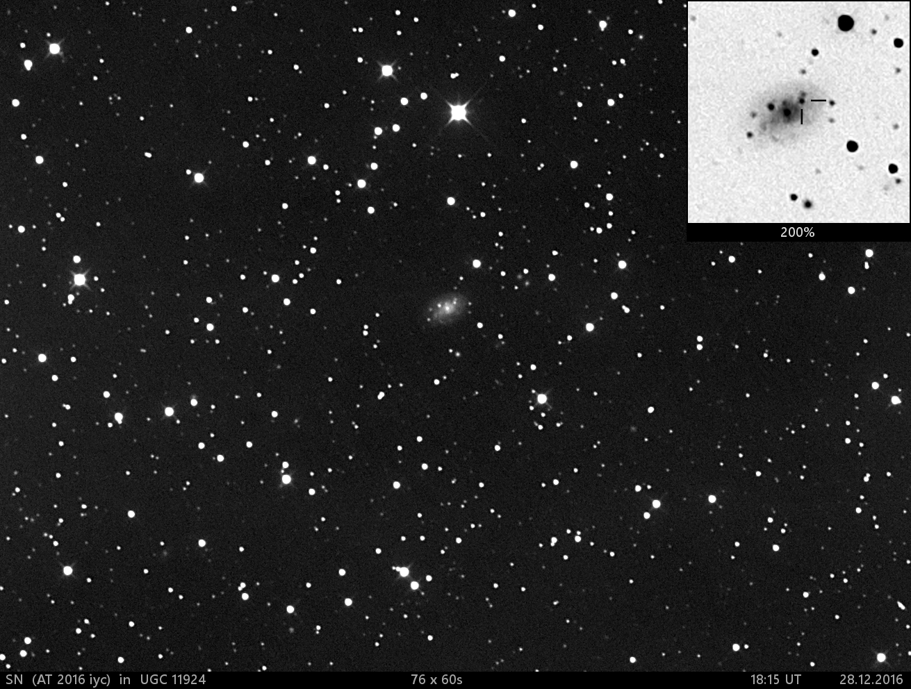 supernova v UGC11924