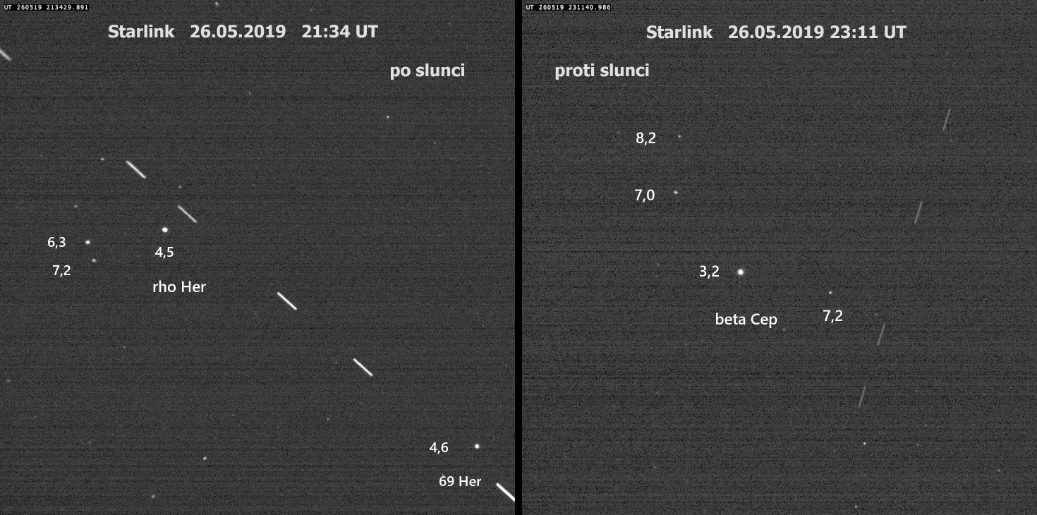 Starlik- porovnání 