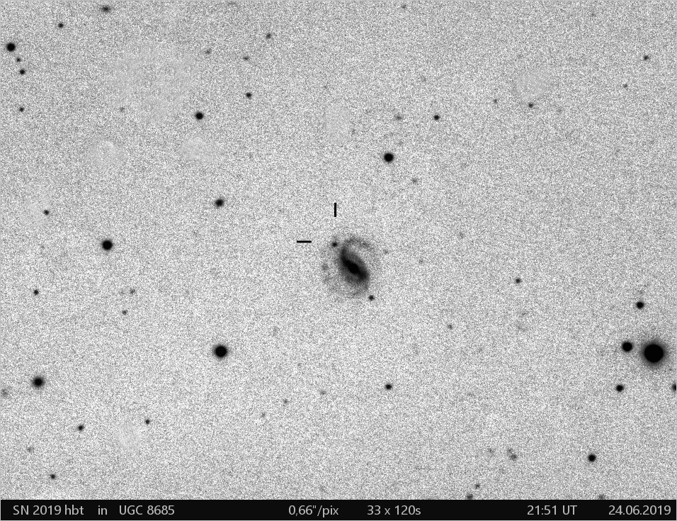 SN 2019 hbt  in UGC8685