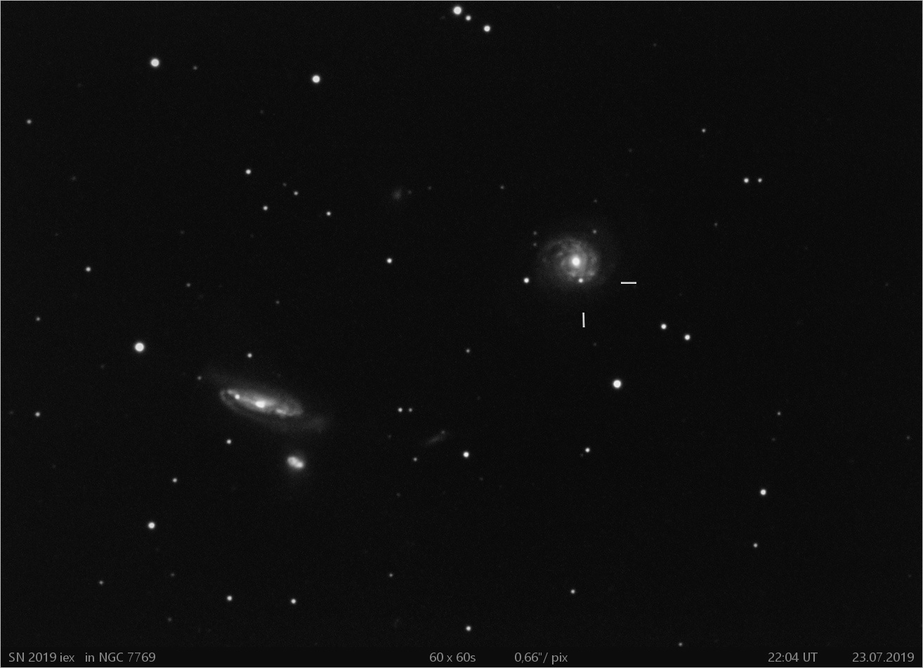 SN 2019iex  in NGC7769