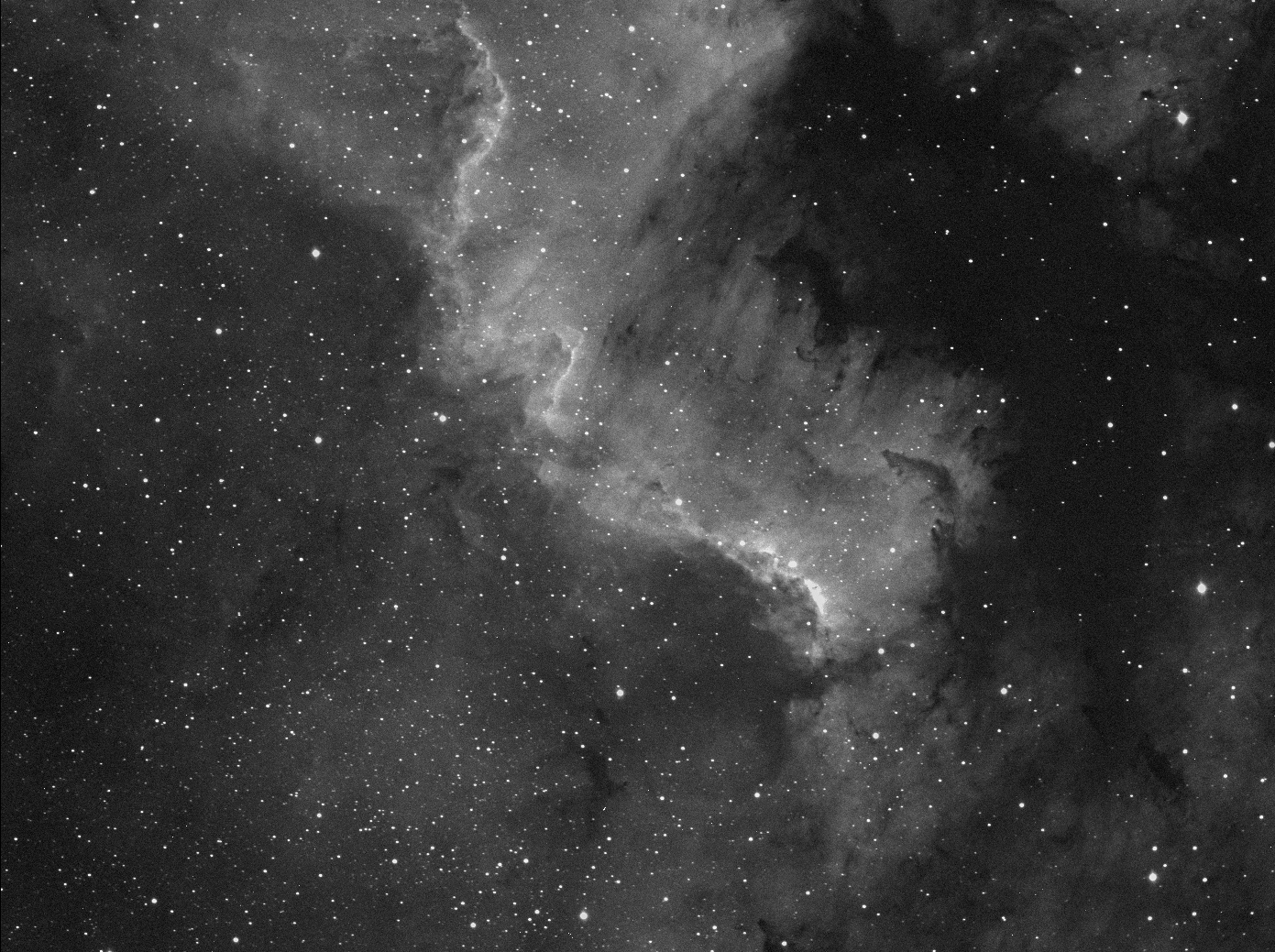 Test RASA 8''   180s exp-. NGC7000 - H-alfa