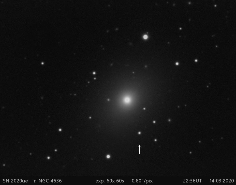 SN 2020ue v NGC4636