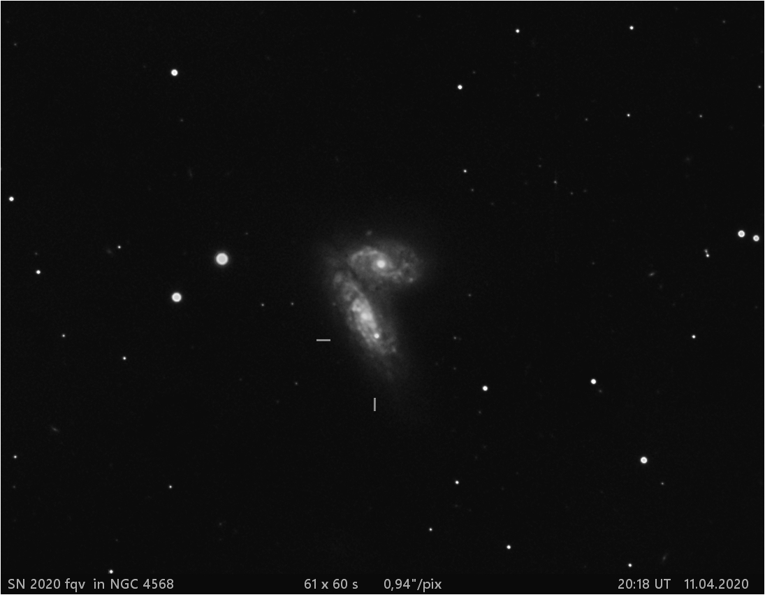 SN 2020 fqv v NGC4568
