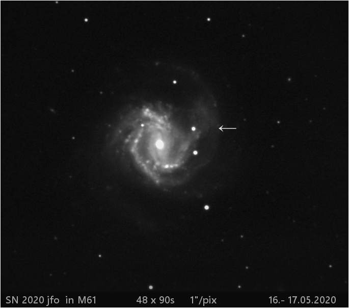 SN 2020 jfo  v M61