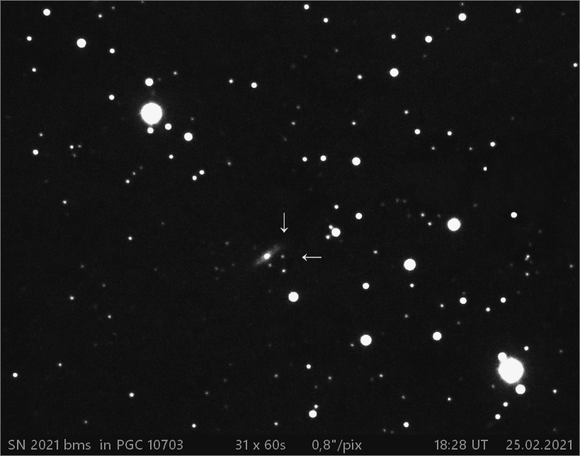 SN 2021 bms  v PGC 10703