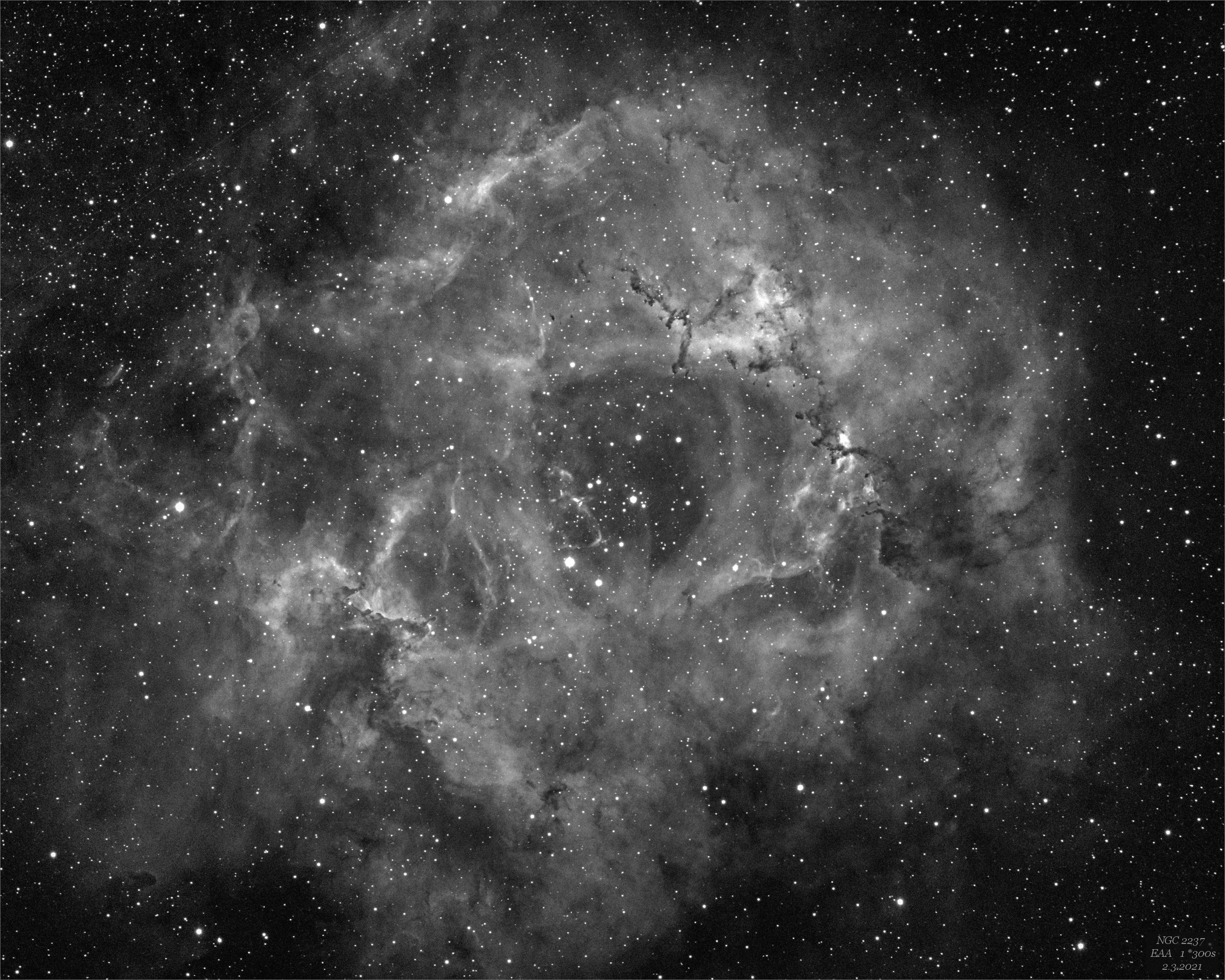 single snímek  NGC2237