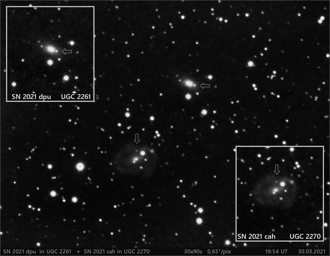 SN 2021 dpu  + SN 2021 cah