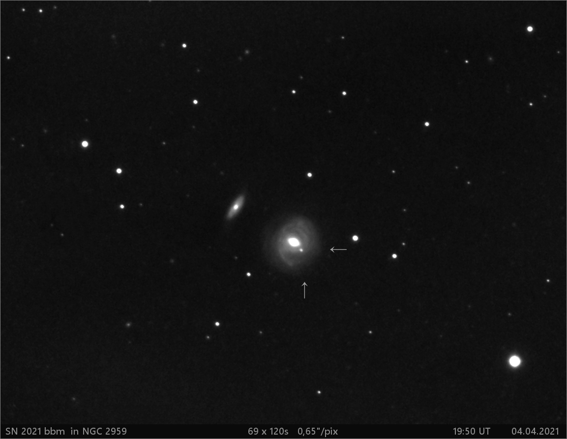 SN 20214 bbm v NGC2959