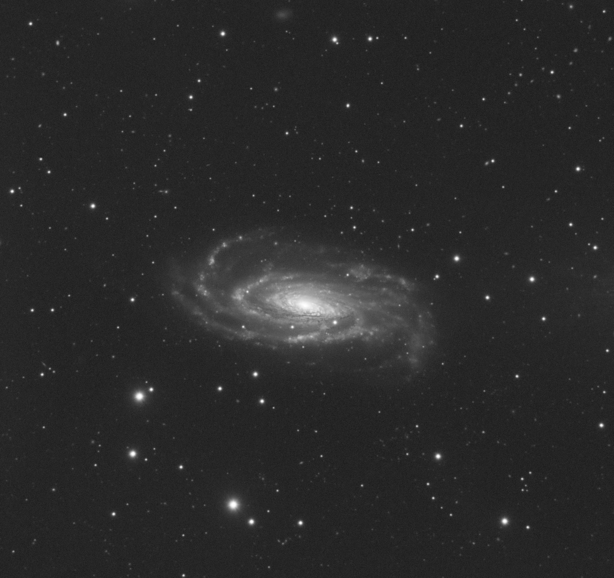 NGC5033_L