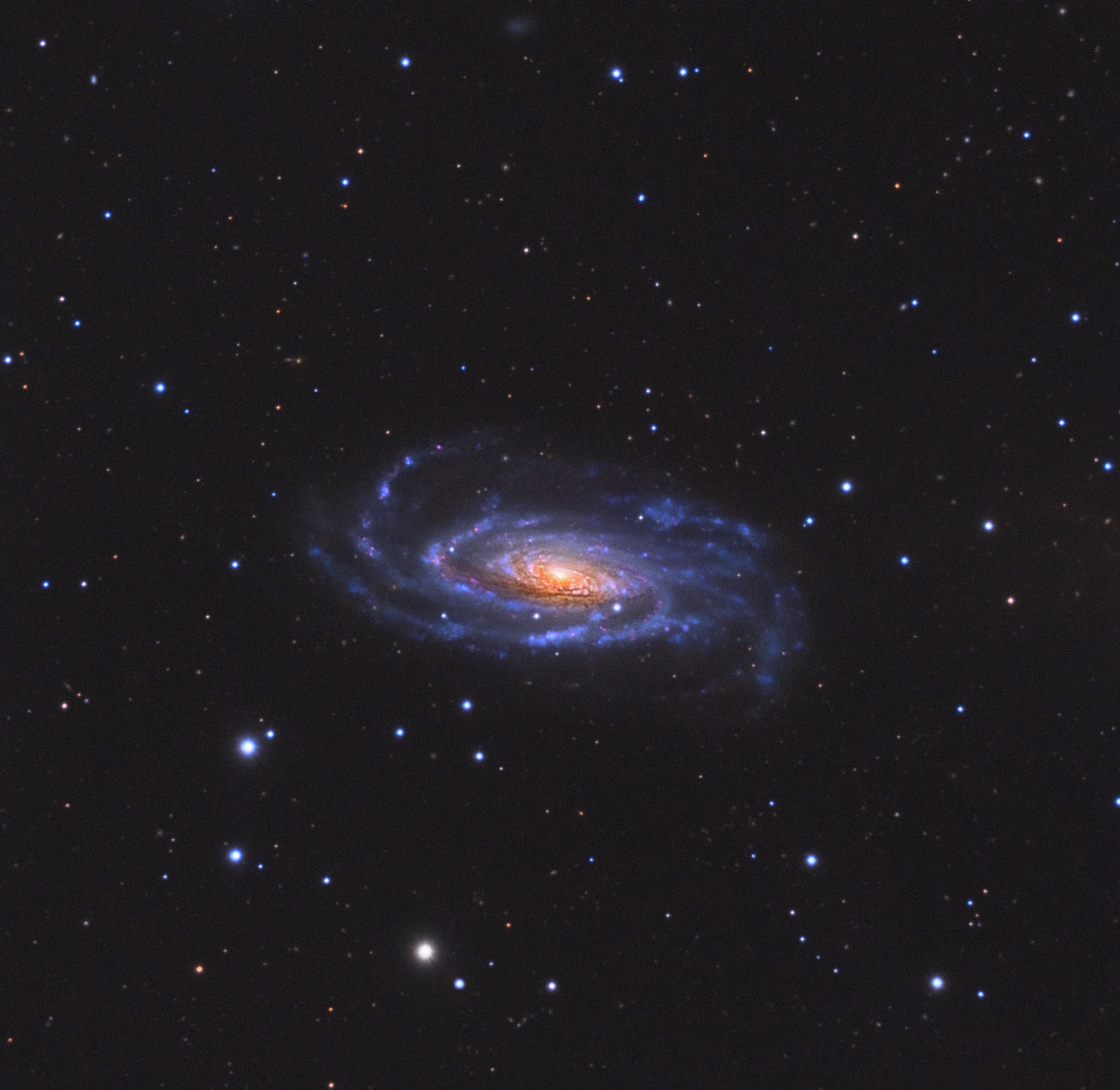 NGC5033_L_HARGB