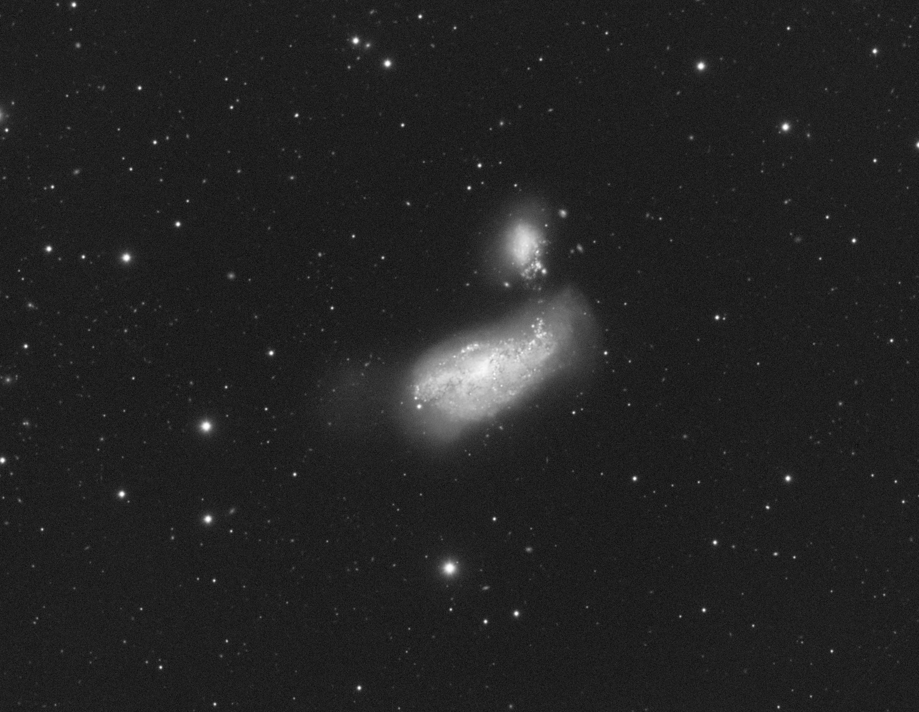NGC4490_L