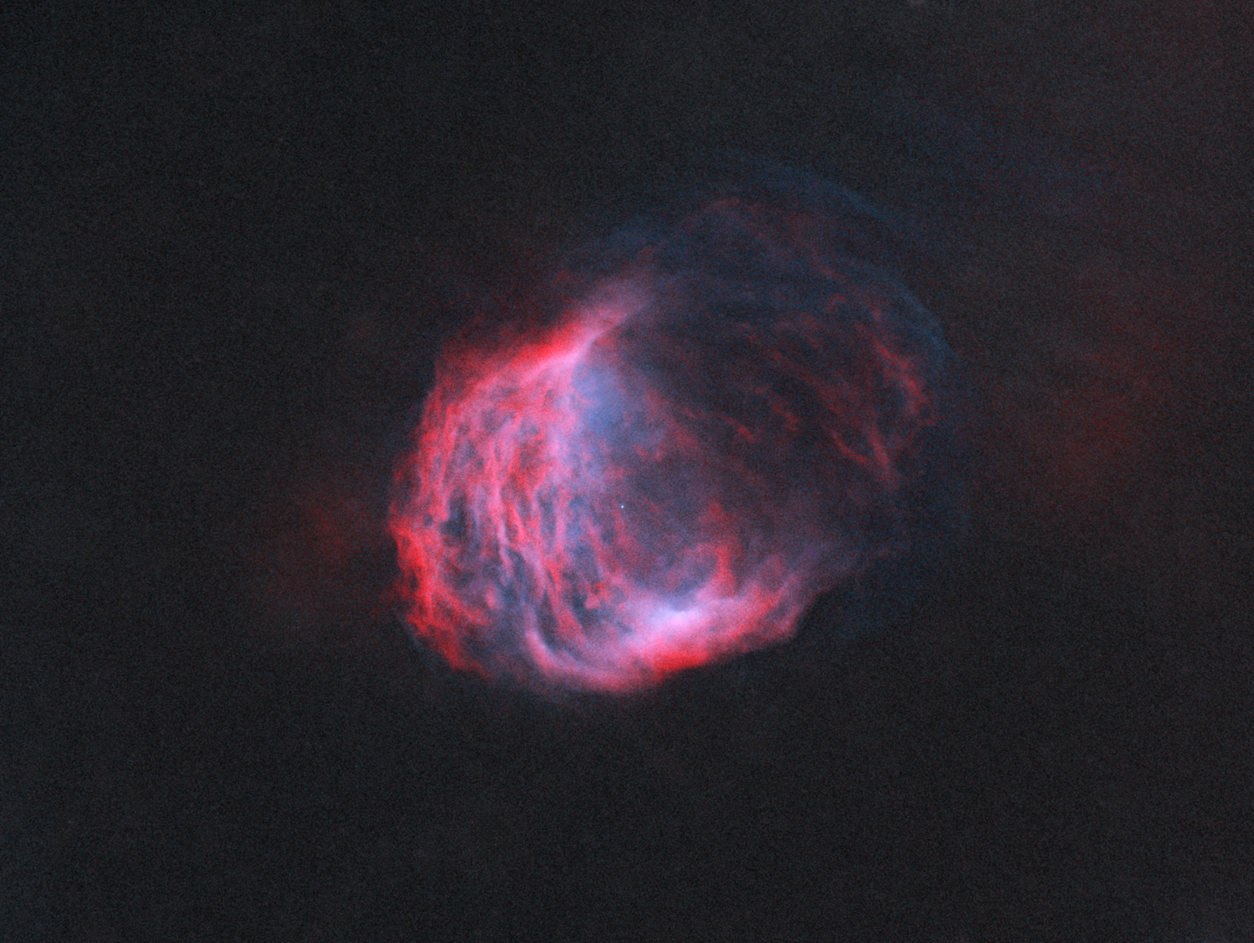 Abell21_medúza_bicolor