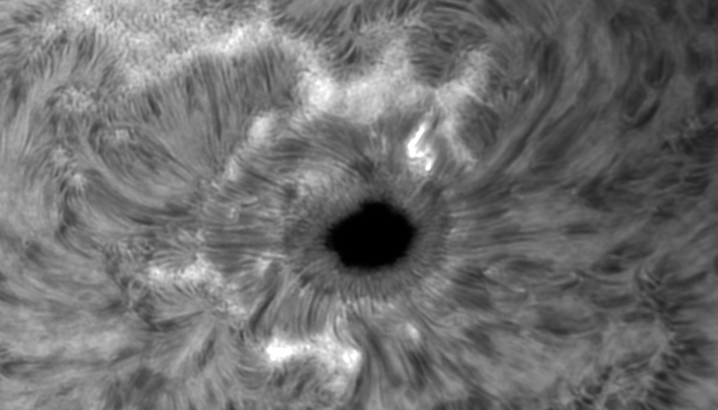 Animacia Halfa-Continuum AR2546