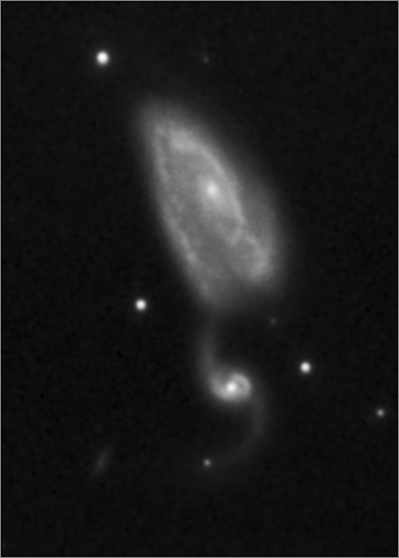 Arp84 - detail (NGC5394, 5395)