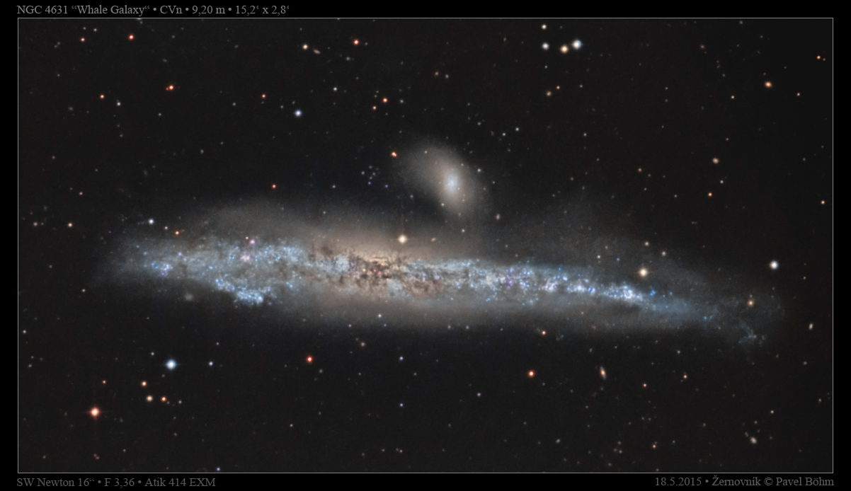 NGC4631