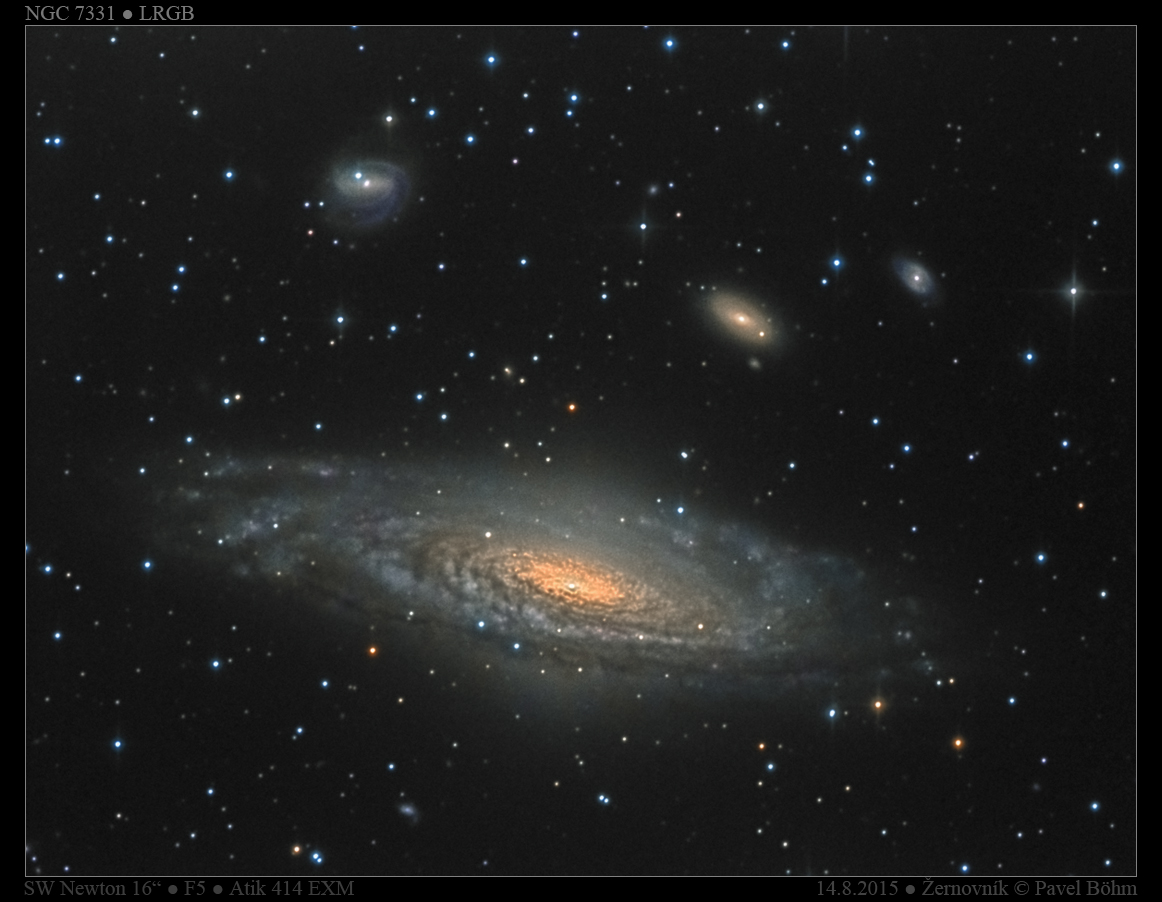 NGC7331