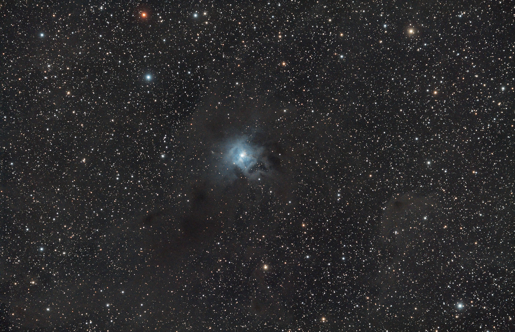 NGC 7023 - Iris