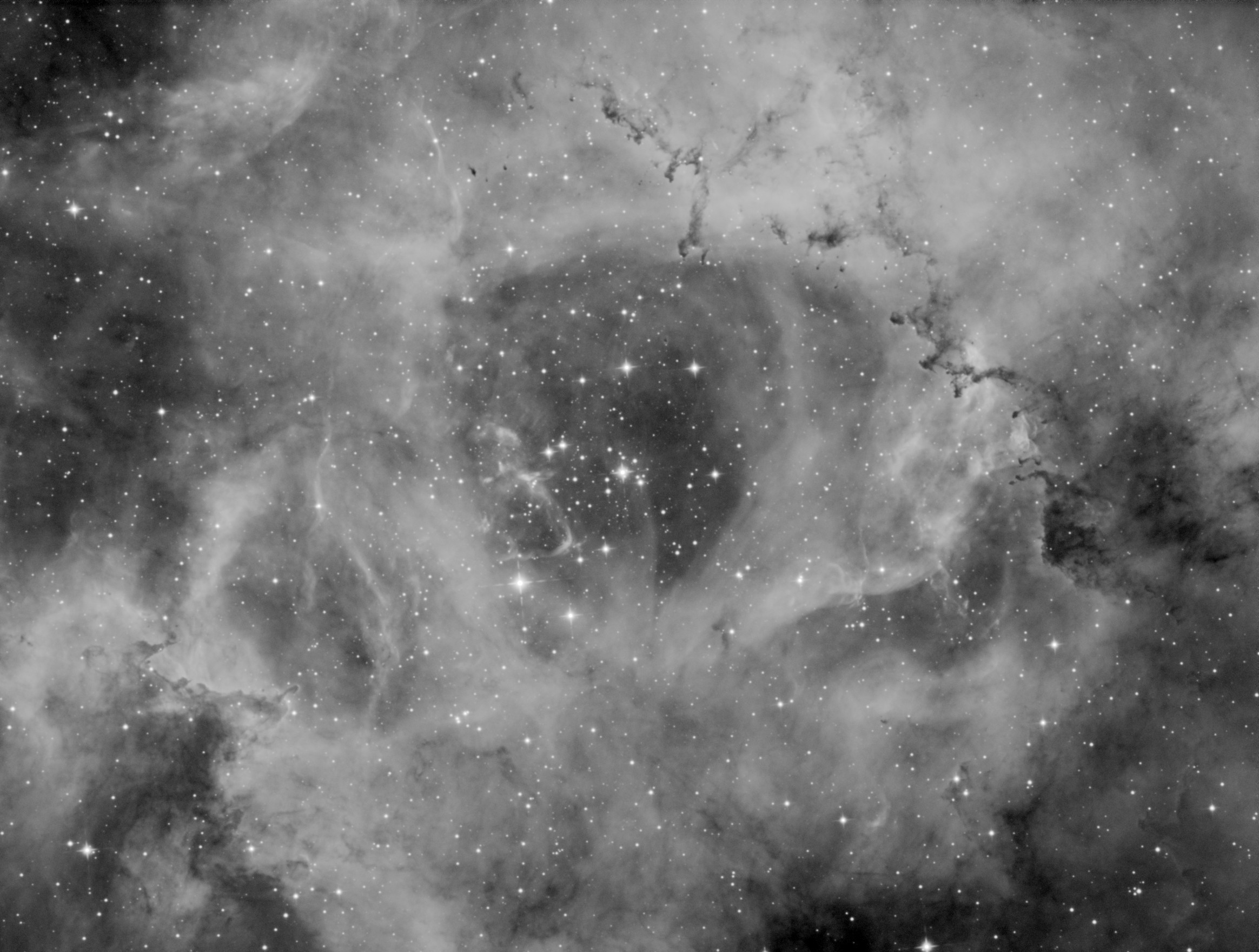NGC2237 Rosette