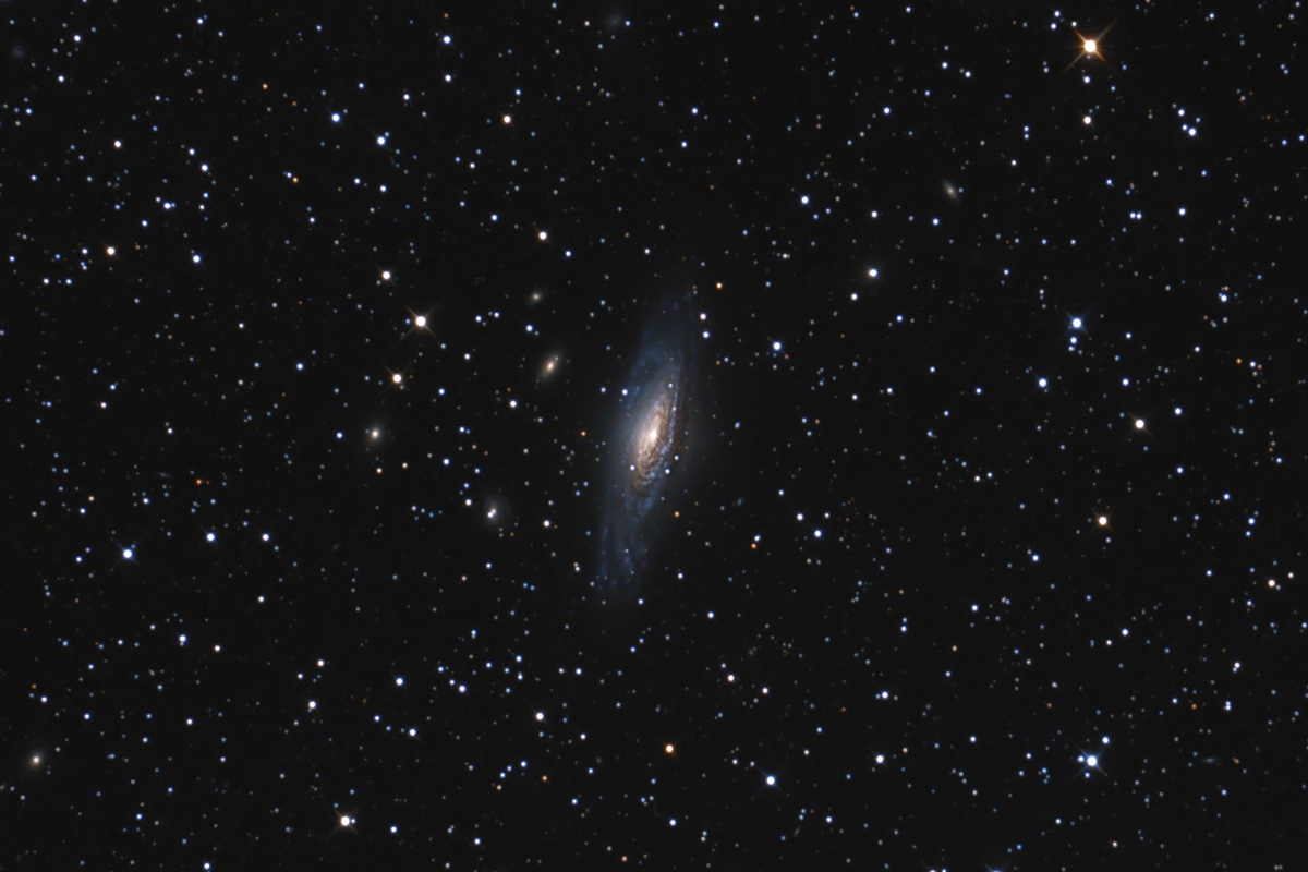 NGC7331