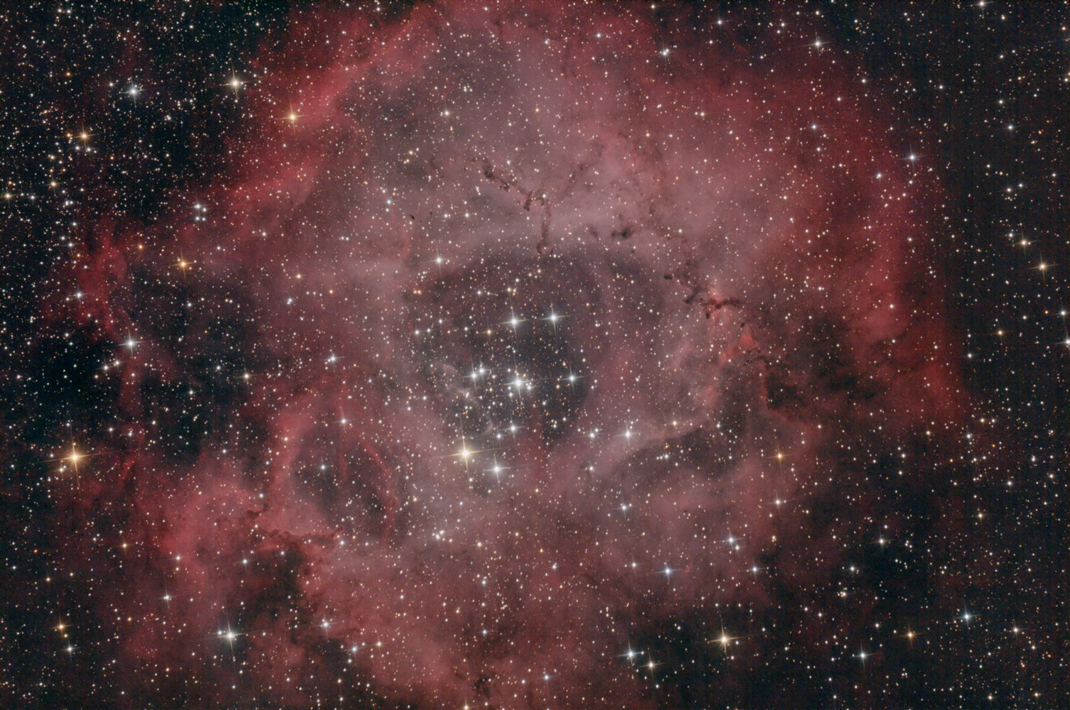 NGC 2237 Rozeta v Mon - celek
