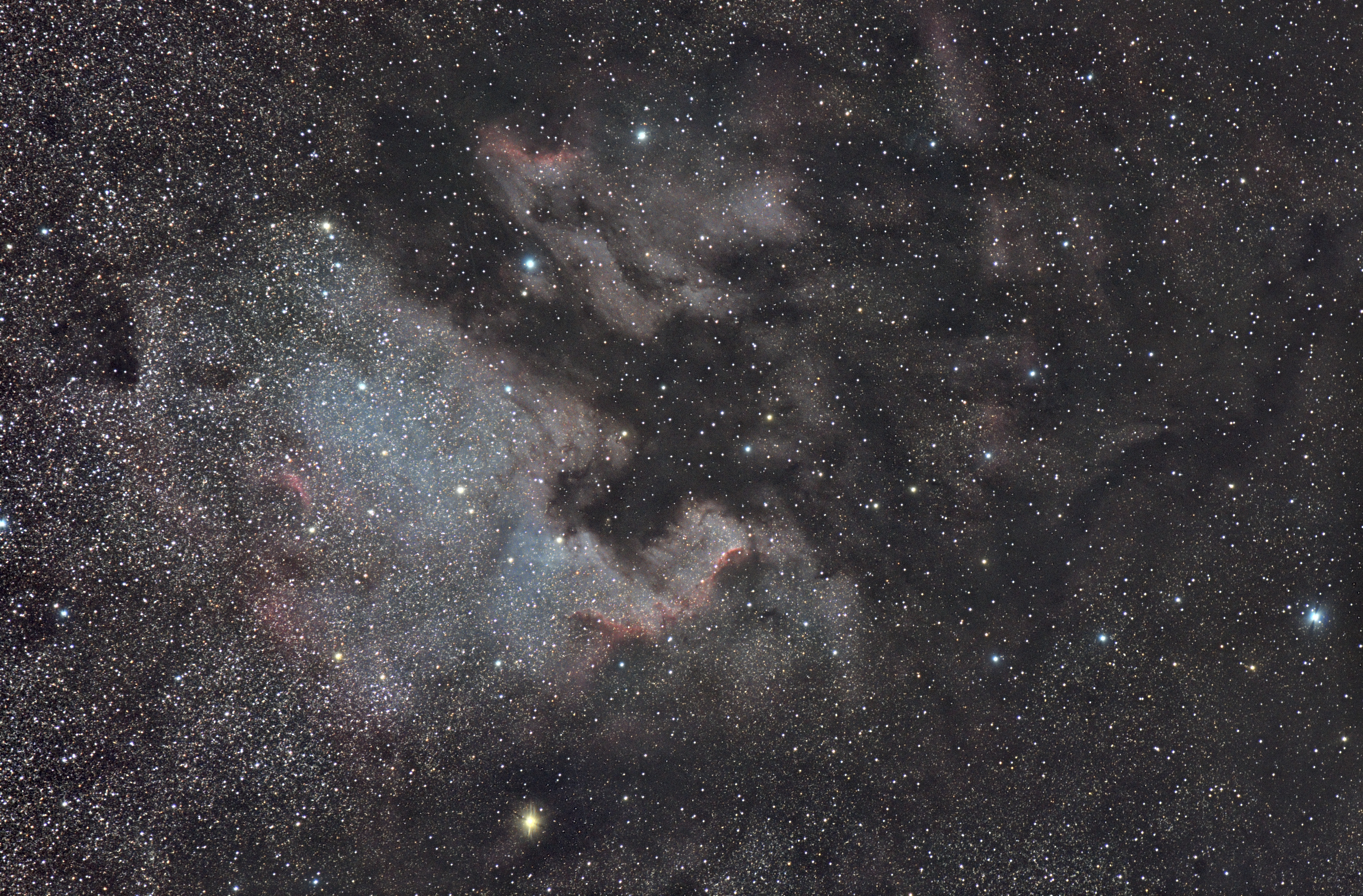 NGC7000