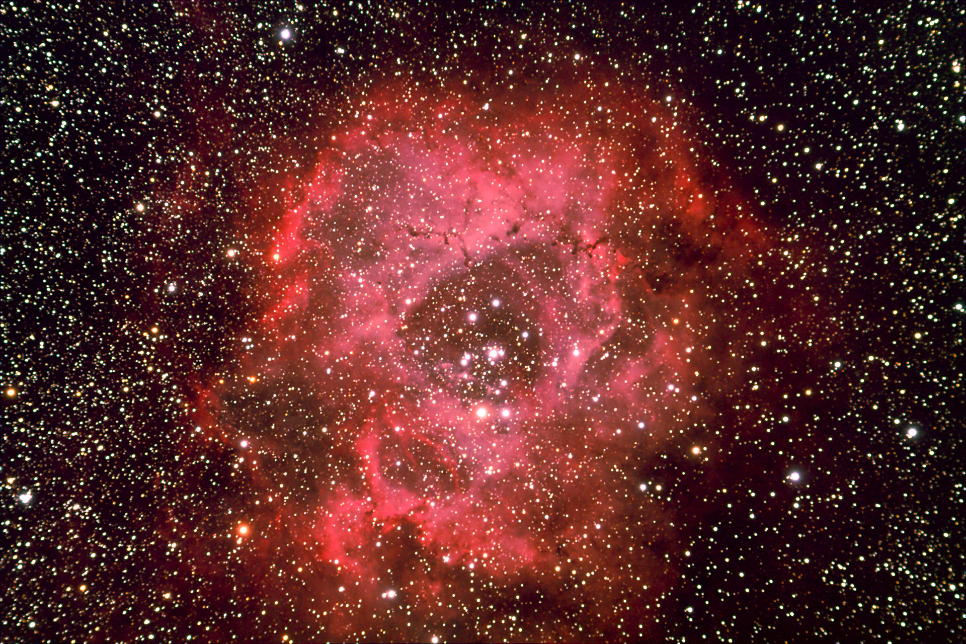 NGC 2237 Rosetta SW ED 80/600