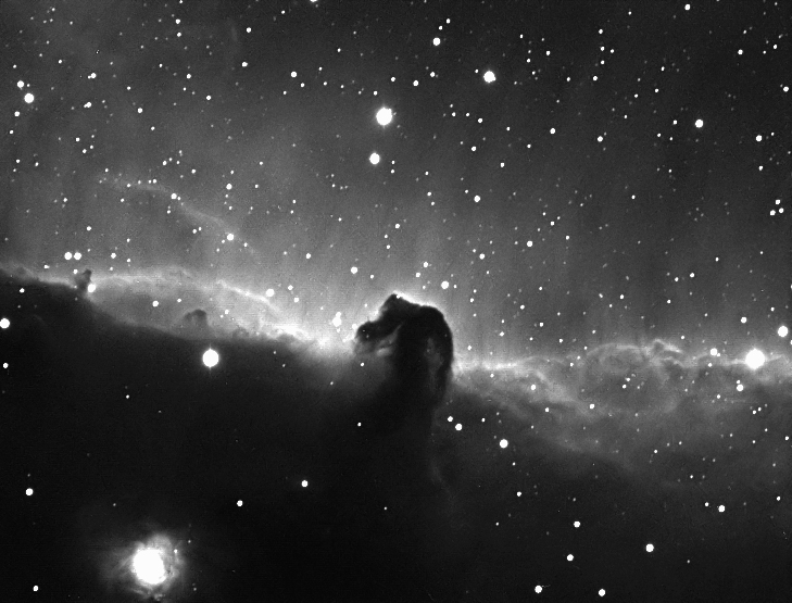 B33 - Koňská hlava