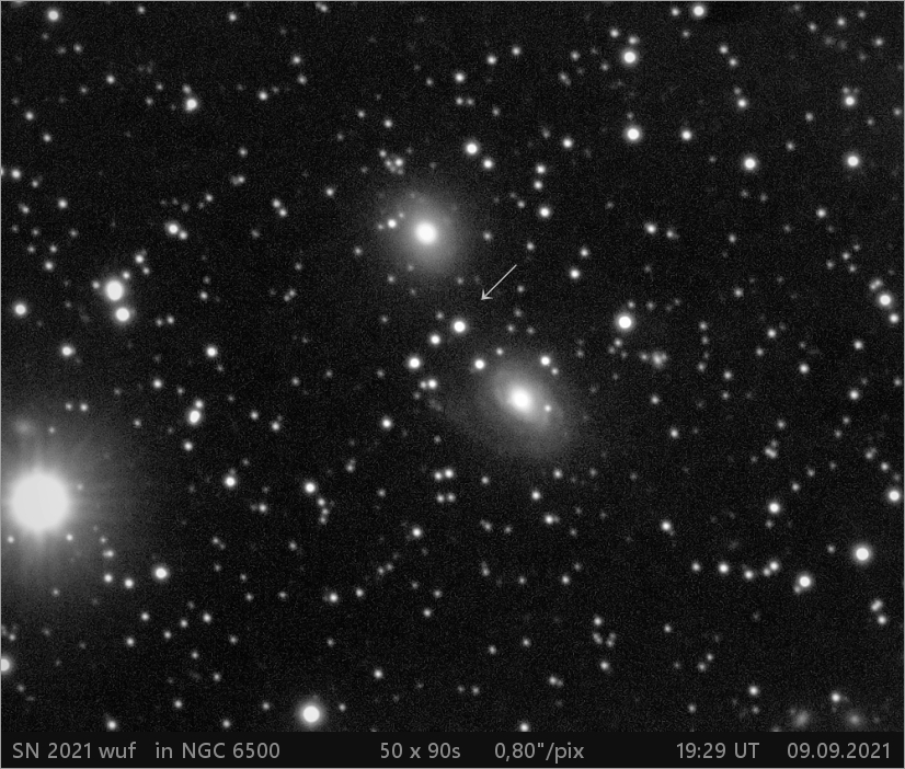 SN 2021 wuf  v NGC6560