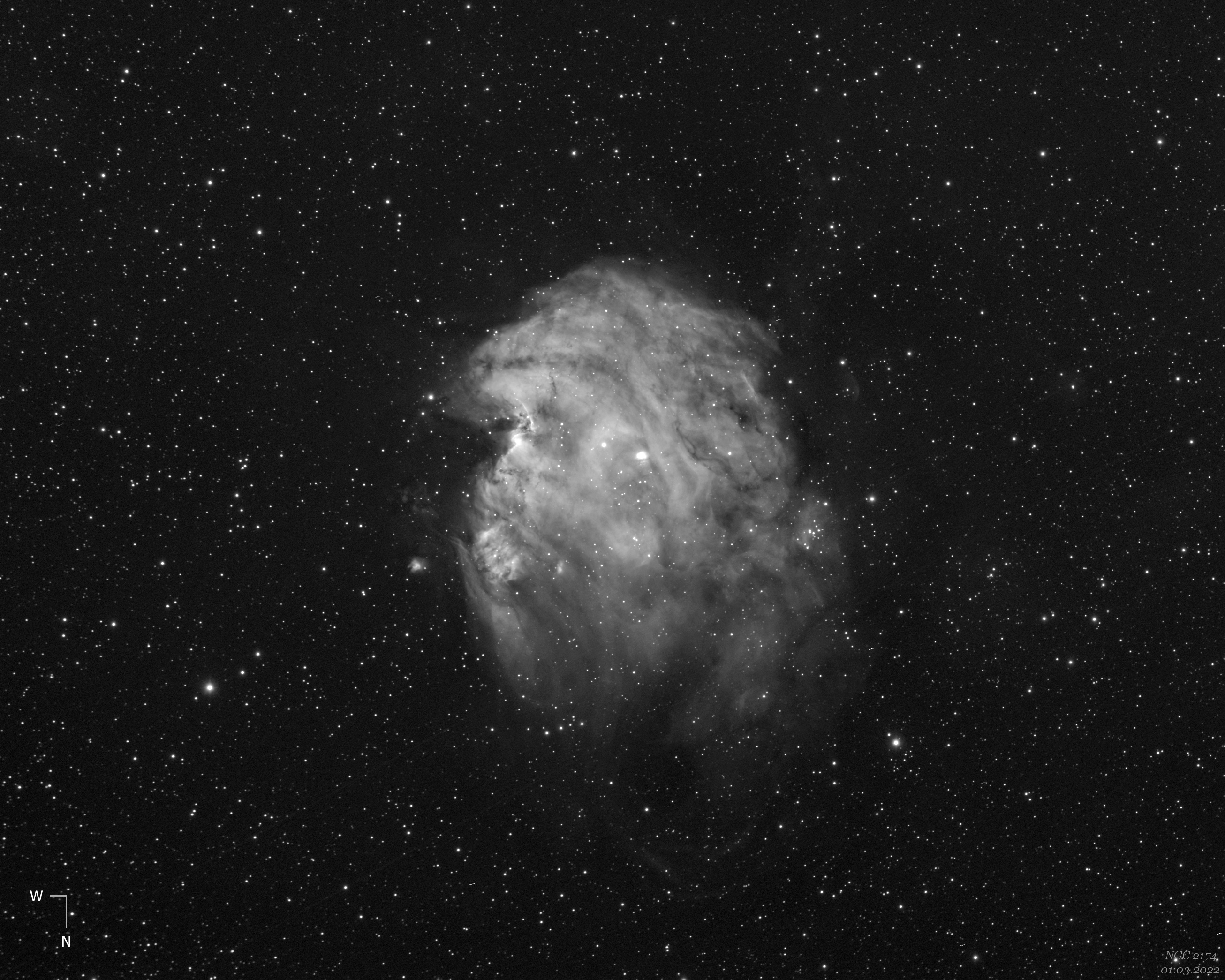NGC2174 (hlava opice)