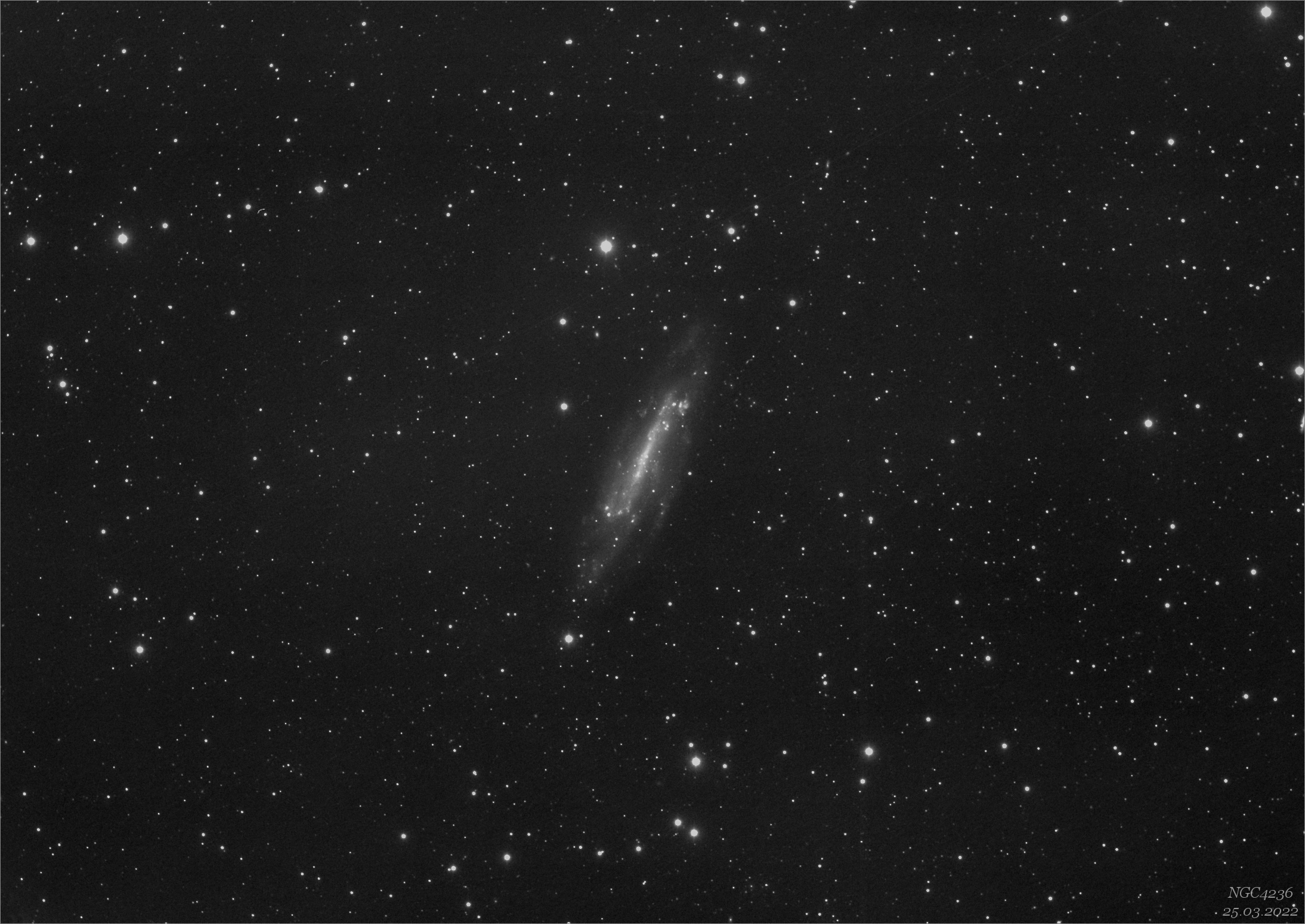 galaxie NGC4236