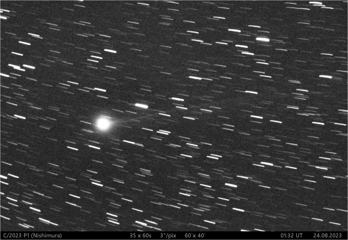 kometa C/2023 P1 (Nishimura)