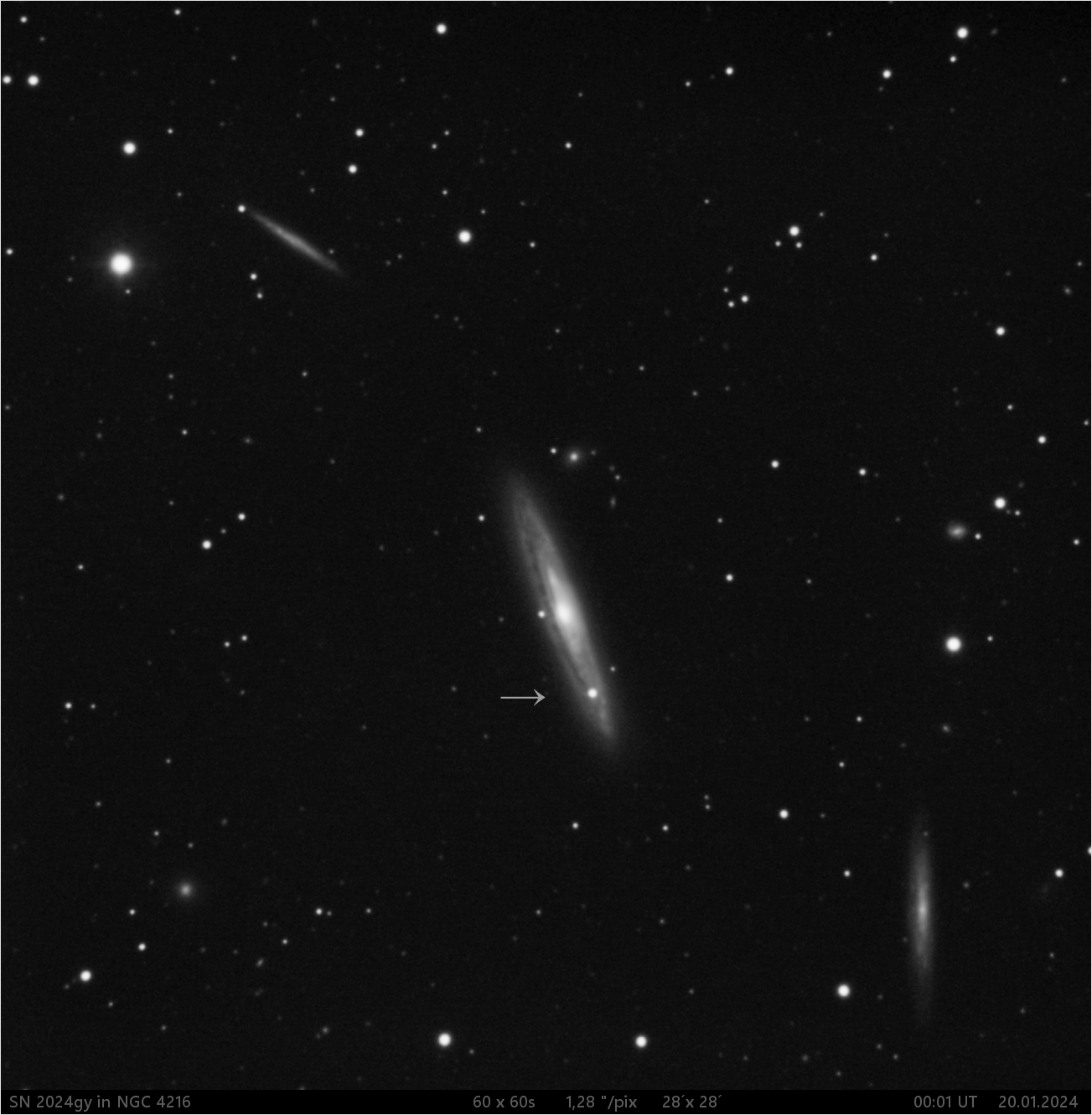 SN 2024 gy v NGC4216