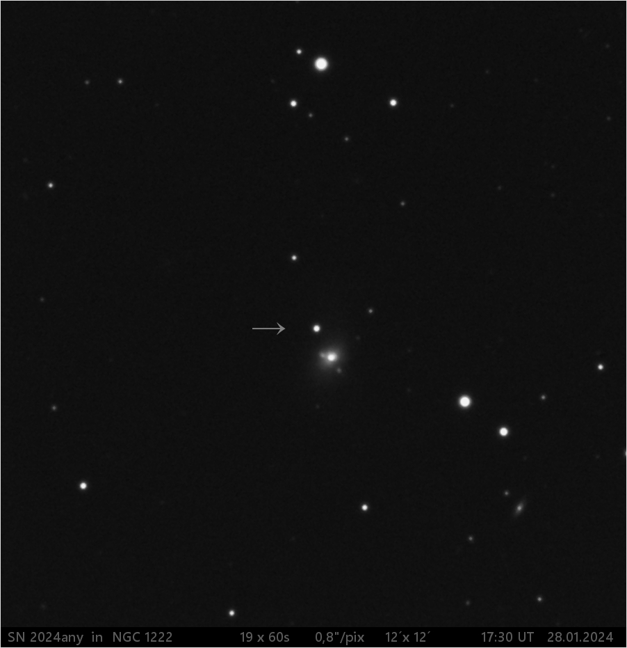 SN 2024any  v NGC1222