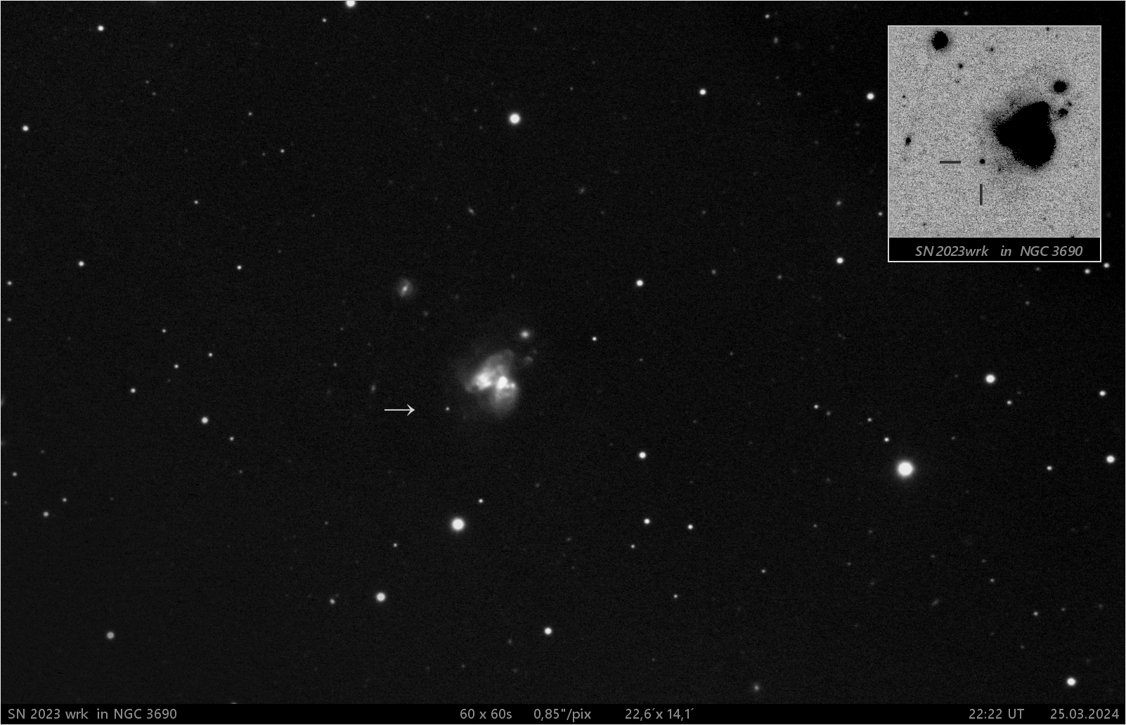 SN 2023 wrk  v  NGC3690
