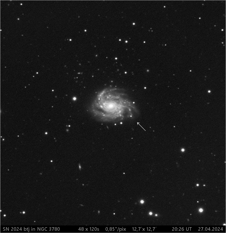 supernova SN 2024 btj v NGC3780