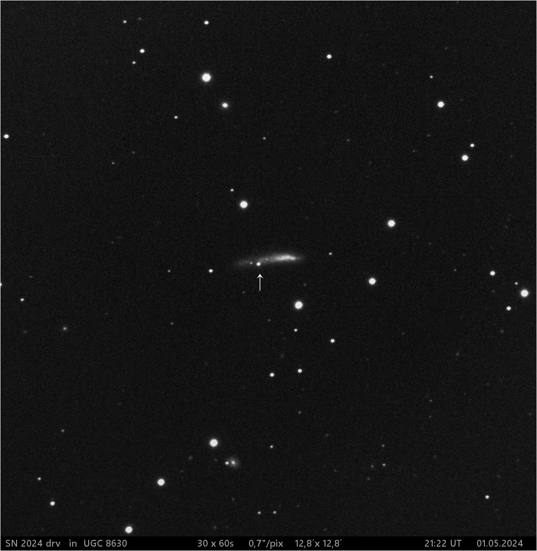 supernova SN 2024 drv v UGC 8630