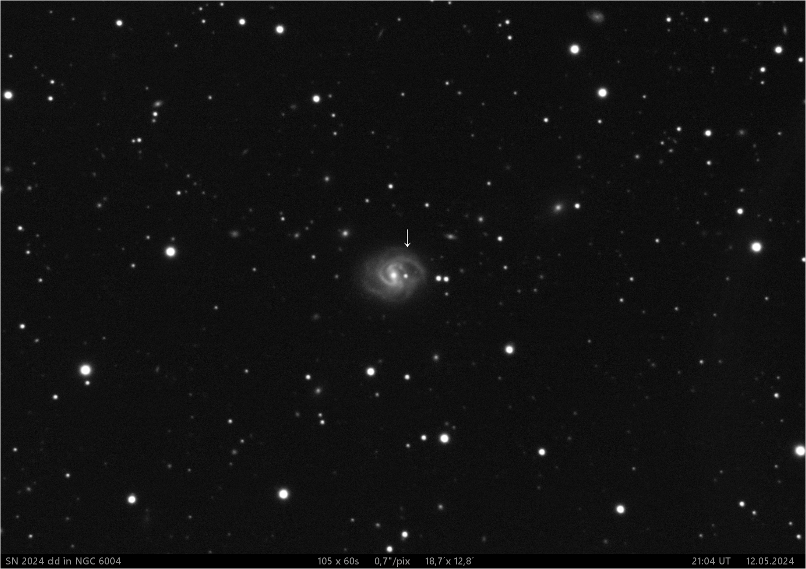 SN 2024 cld v NGC 6004