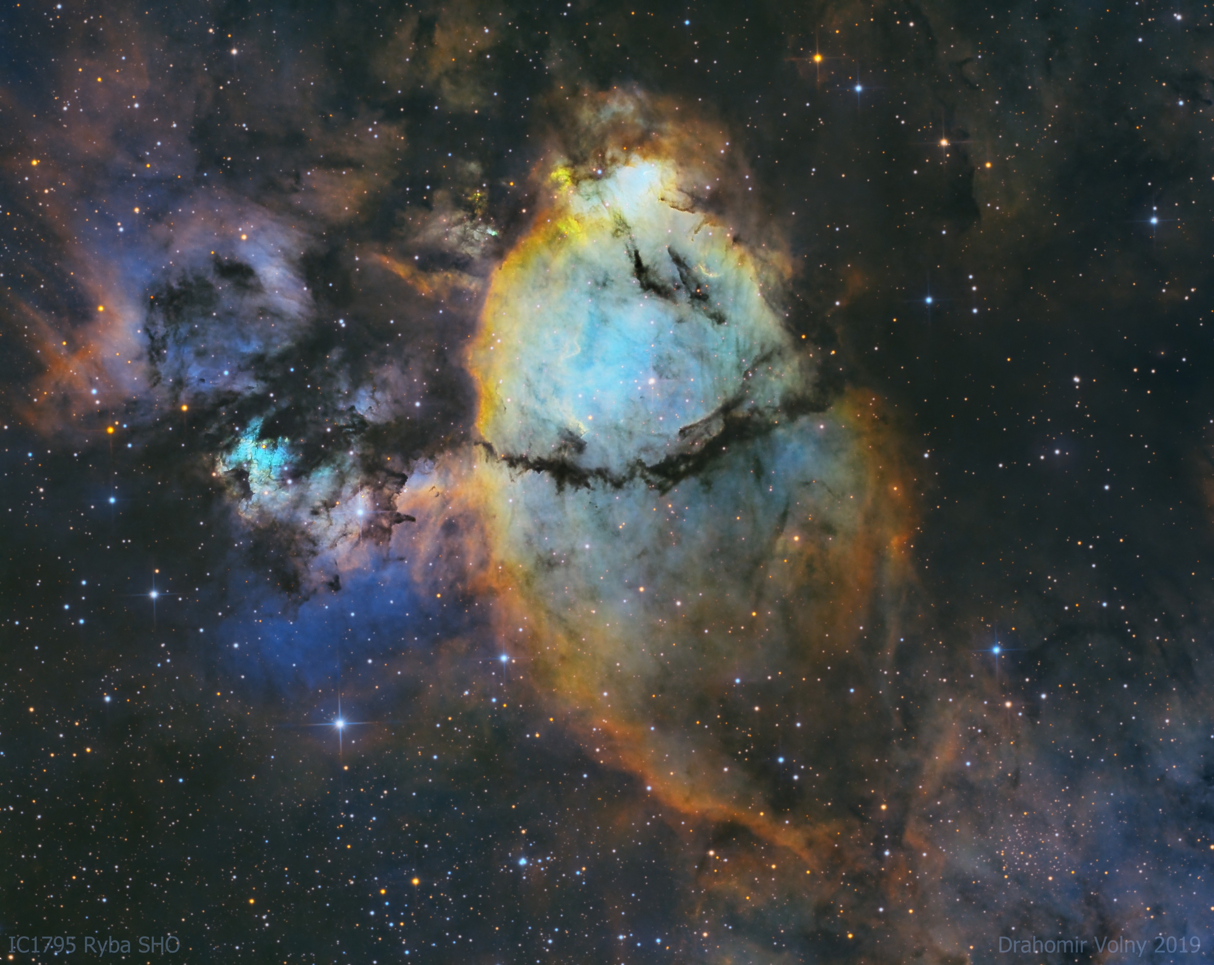 IC1795 Ryba SHO