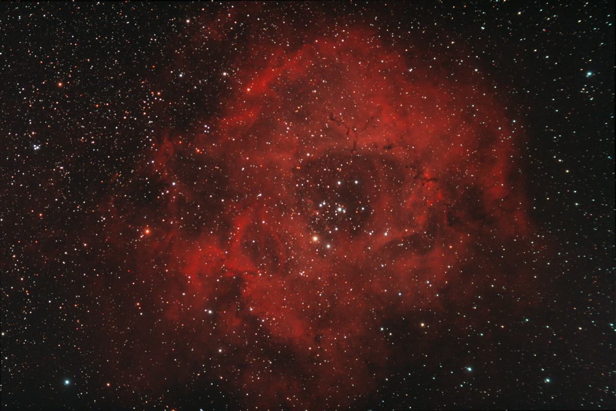 Rosette, NGC2237